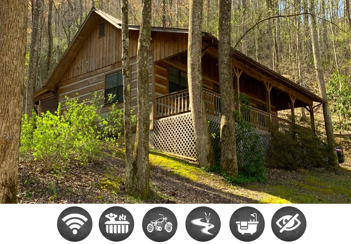 The image features a charming wooden cabin nestled among lush trees, with a spacious covered porch overlooking a tranquil creek. The scene exudes peace and seclusion, with sunlight filtering through the leaves, inviting guests to relax on the porch or explore the natural surroundings.
